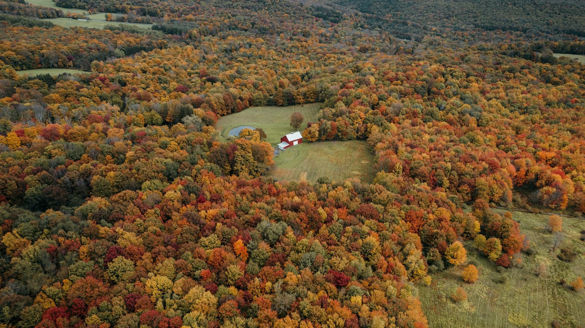 House surrounded by fall forest in the Catskill Mountains